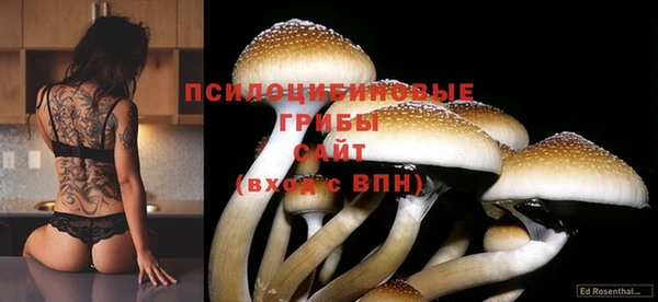гашиш Вязьма