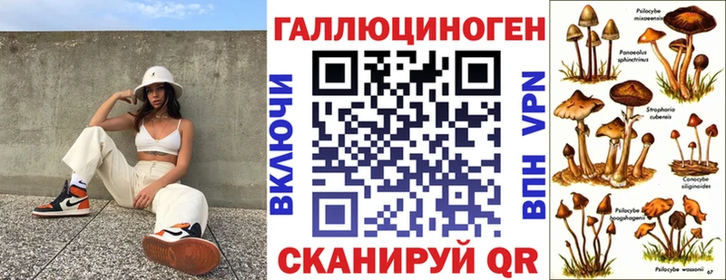 где купить наркоту кракен ТОР Псилоцибиновые грибы Psilocybe Таганрог